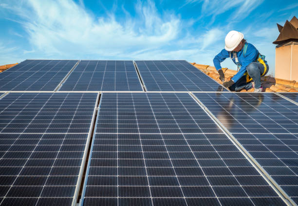 Best Roof Moss and Algae Removal  in Wildwood, FL